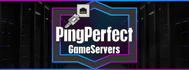 Exploring Pingperfect : The Ultimate Game Server Hosting Solution